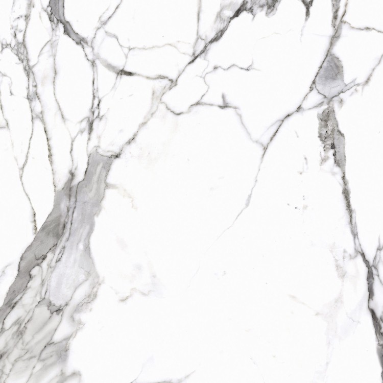 Calacatta_white_48''x48'' (4).jpg