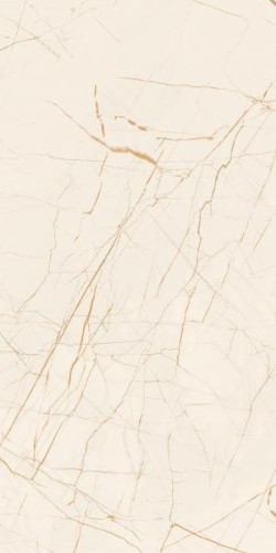 89148ca7f6b3eeb37c7a7b55b1ac1237