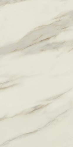 f8f9f341025b4f600232604d38354569