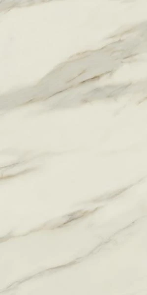 f8f9f341025b4f600232604d38354569