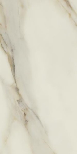 29cc45c8daeaf100263f593f45a4c919