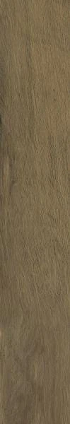 41a1cf93d28158673d3018081d6a49b4
