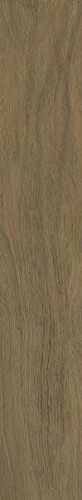 25b01c32ba4992da65acc027c51c2260