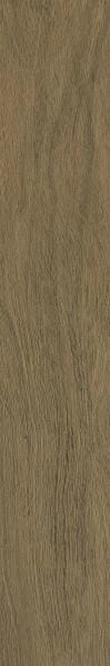 25b01c32ba4992da65acc027c51c2260