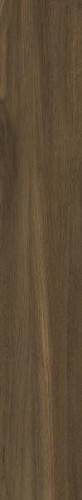 41d193601b351a7225aeec6f499096a6
