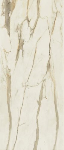 7a119c11068c4e7cf9ed384e1ef71b11