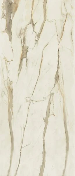 7a119c11068c4e7cf9ed384e1ef71b11