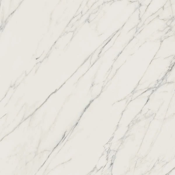 e1eaa7e95e1b7bd4bebe5e651322b003