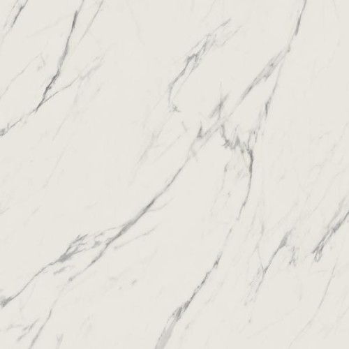 9bec7e1b73016571df2e4bbbddf8d8ed