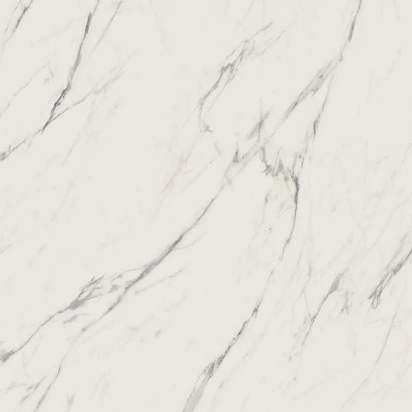 9bec7e1b73016571df2e4bbbddf8d8ed