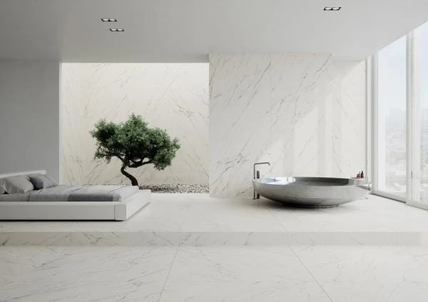 a21117c45c563211ab6c63cb81eae32e