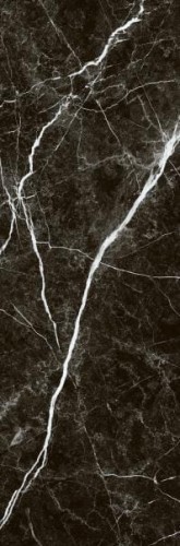 580a8c08f1c9ccdc4003d90453e5052f