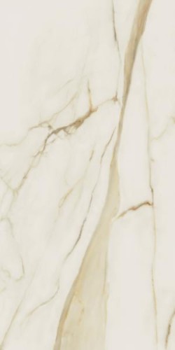 d7787d93567495a689afb931bc7080c7