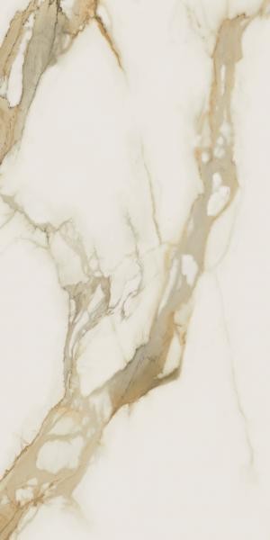 bef8319ed5600c63d0ddd90cf8857ead