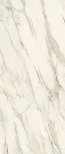 653ea7205b59f4d0821b26faa4500e01