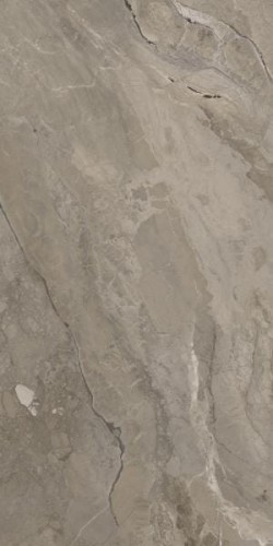 325c47d95a48e0fab208945ed53d445a