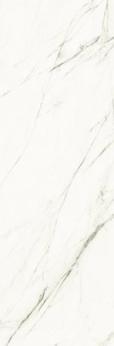 022e82e16460b11020468516492b8763