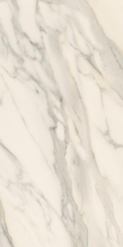 d2f9e2a2762687bd281696714fa54bca