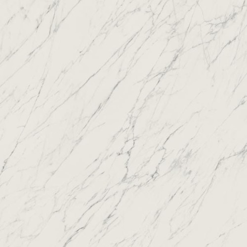 85e50b261dce305504b15b726ed66307