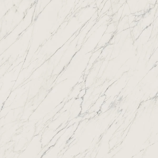 85e50b261dce305504b15b726ed66307