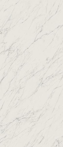 bb5afe0748b68a57a46813278161b786