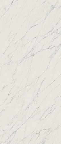 1f508b19048b975461e21cb8b3bde9cd