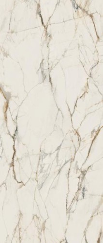 1950004f865331e130cb528151e9dbc9