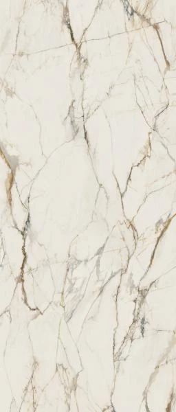 1950004f865331e130cb528151e9dbc9