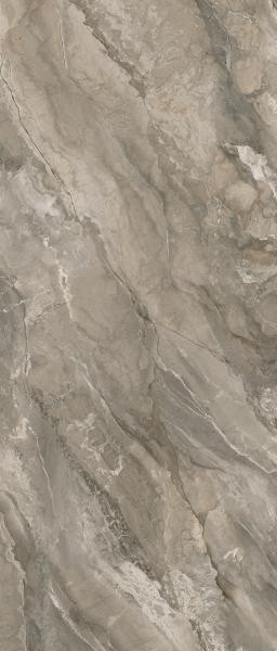 1205835009be694466c938669874a910