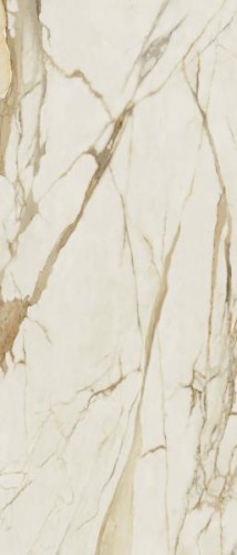 0e711716b74a29203e7951bee0392b60