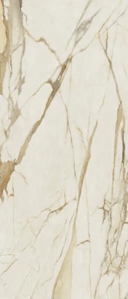 0e711716b74a29203e7951bee0392b60