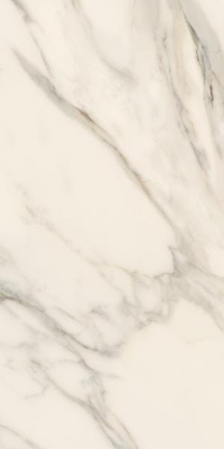 015adcbdc59d3fcaef1952483e93e926