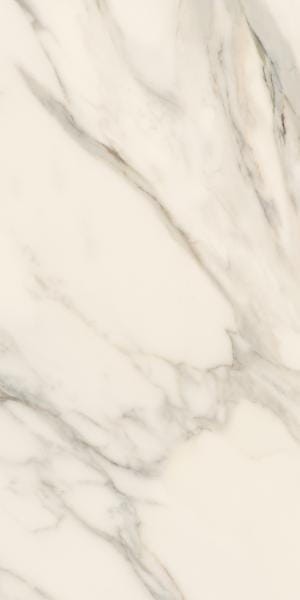 015adcbdc59d3fcaef1952483e93e926