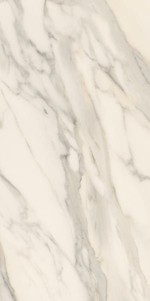 060d2c2276ef037b0471356c41617426