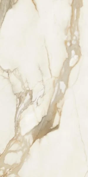 2fdb7a0a7d5181564506f8b191dc4103