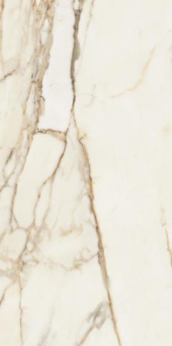 8c3dd5a3d20d2215469bfb29d6c7fa38