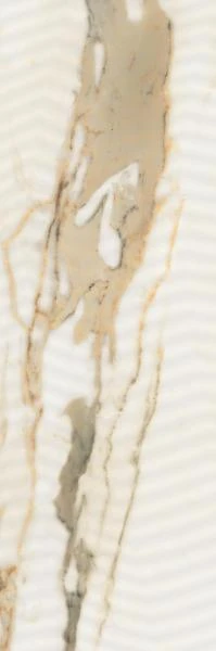 85df9a5fb9b72accc90eaeb3743b361b