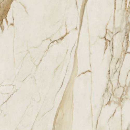 cbad8e22dec717c0b8ecb4b4e3413749