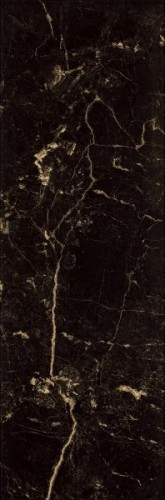 e4061022ffa031eee44f3cf8cda91593