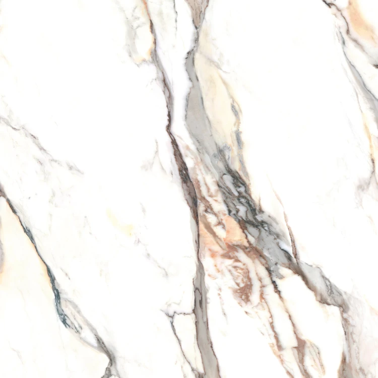 Calacatta_gold_48''x48'' (1).jpg