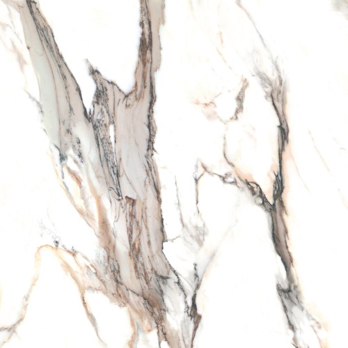 Calacatta_gold_48''x48'' (2).jpg