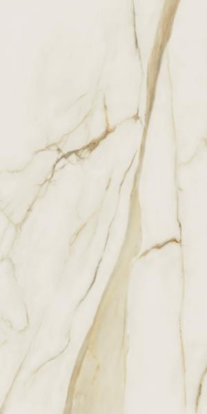 d7787d93567495a689afb931bc7080c7