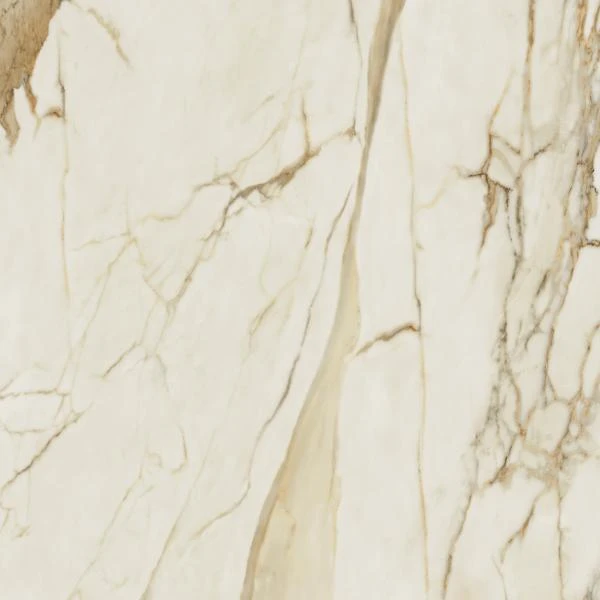 cbad8e22dec717c0b8ecb4b4e3413749