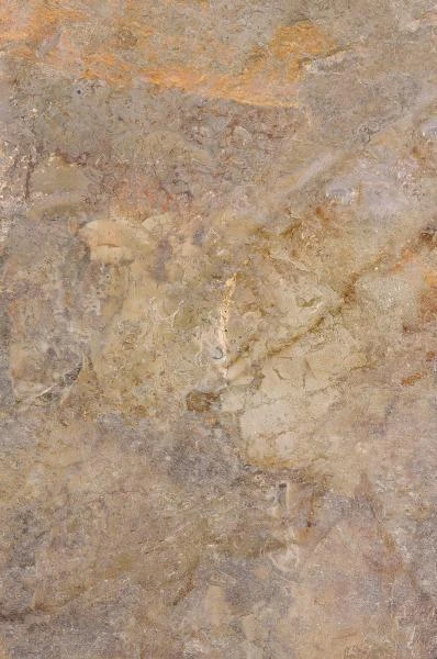 cb73734bfba994af5e1f33220924b6c3