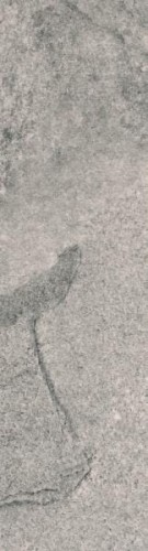 cc7b67c248dc07a23b6a8d0a6bf268af