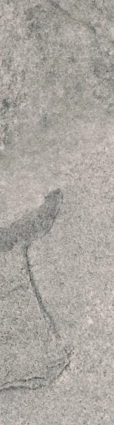 cc7b67c248dc07a23b6a8d0a6bf268af