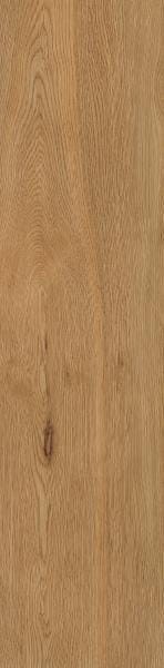 25adfc5c350a75ec8e9c8899db192c2a