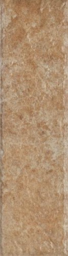 5c8cdfd331e774e3f90f39a2f4b749a0