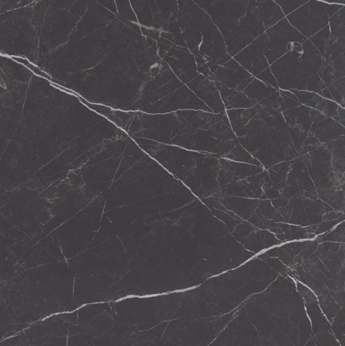 6d9962c8f79da4780297739dcc5c7e43