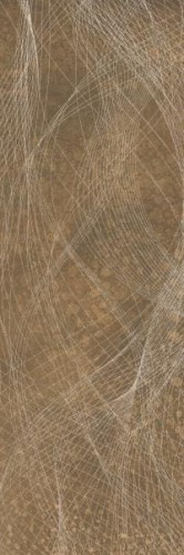 1bddfacc8caa3c50b2ff165d1184e9c8